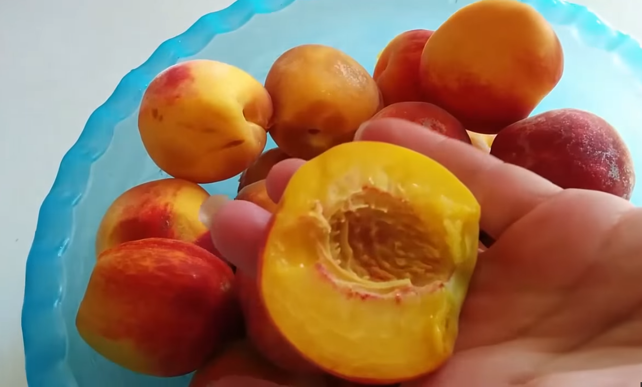 Персики без косточек