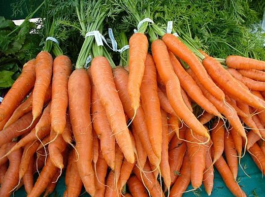 Храним морковь правильно
