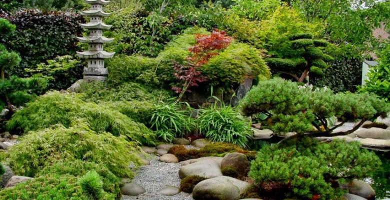 Небольшой японский сад на даче — идеи и принципы